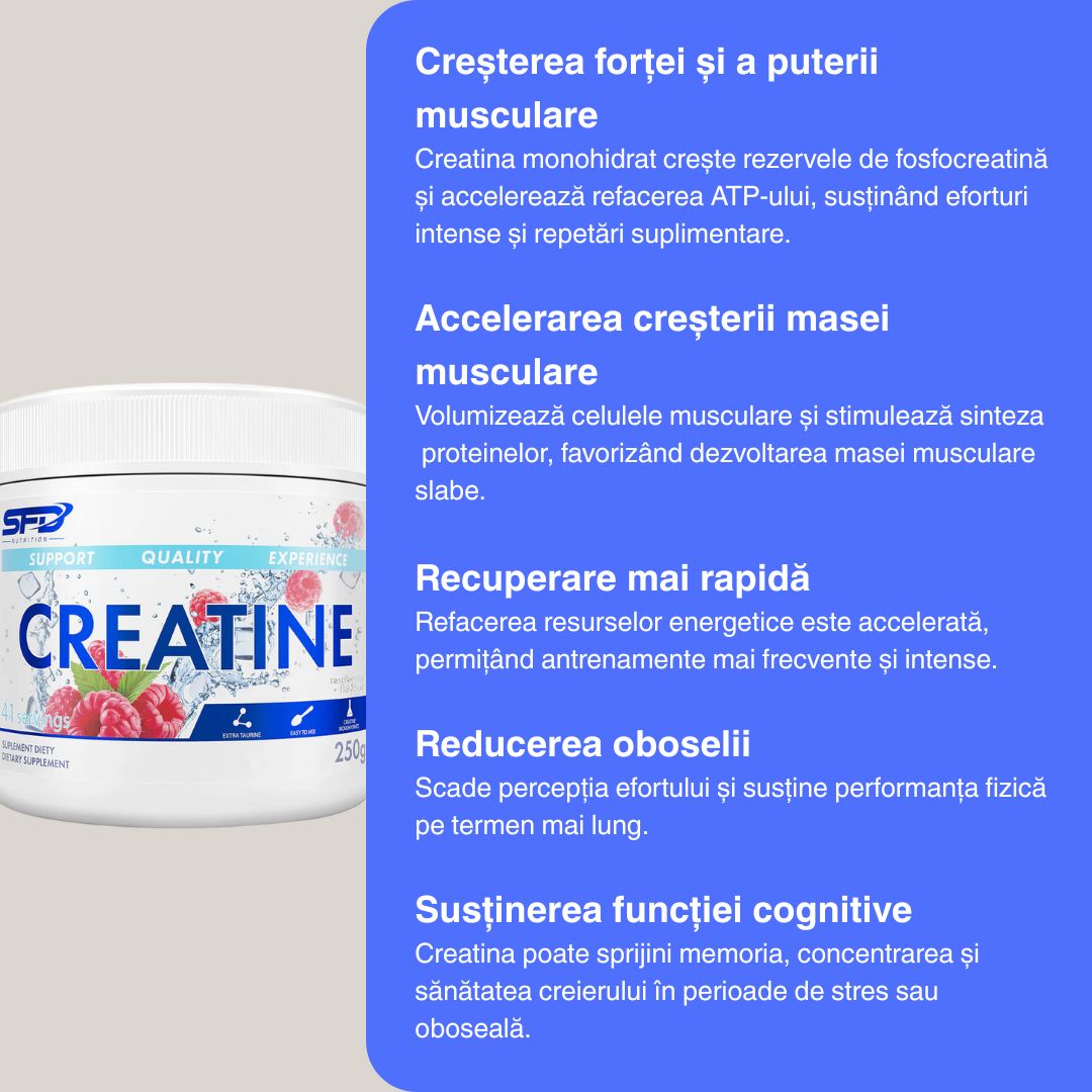 Creatină monohidrată ALLNUTRITION: Performanță maximă, recuperare rapidă.