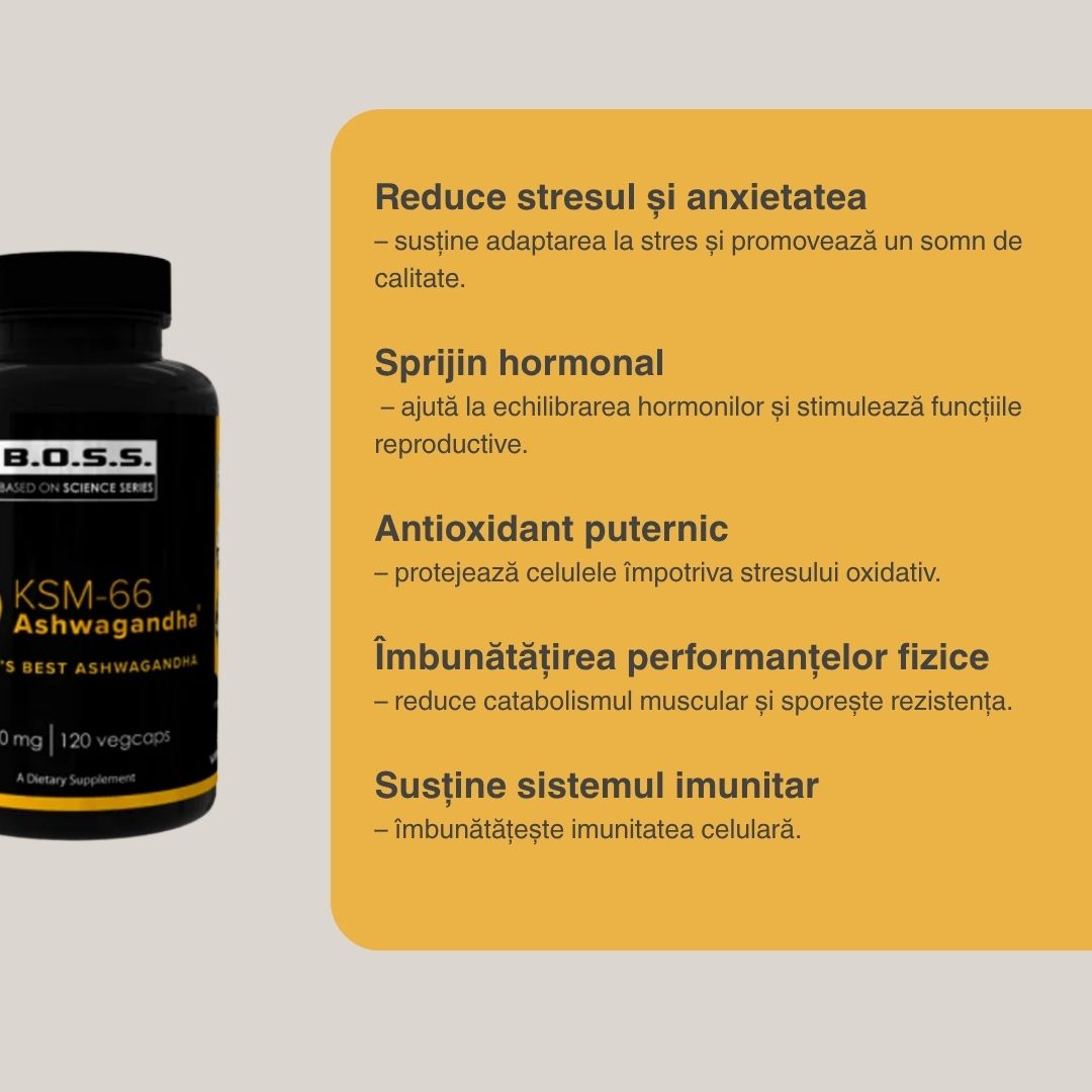 Performanță optimă și serenitate cu Ashwagandha KSM-66 VITABOLIC. Investește în tine!