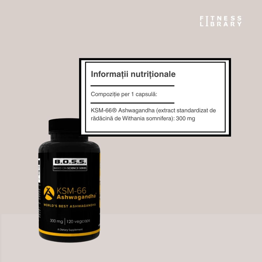 Ashwagandha KSM-66 VITABOLIC: Energie și serenitate pentru o viață împlinită.