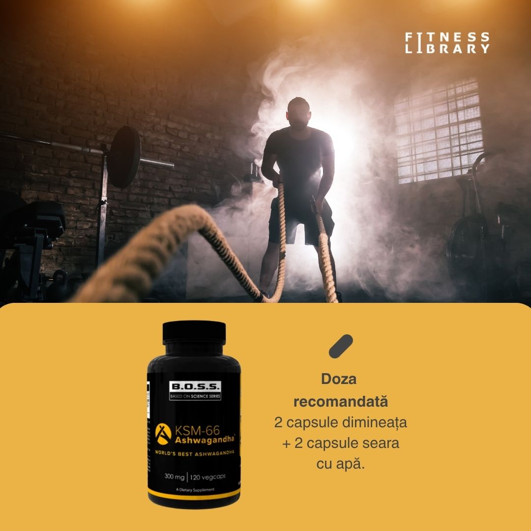 Ashwagandha KSM-66 Vitabolic: Energie vitală și serenitate.