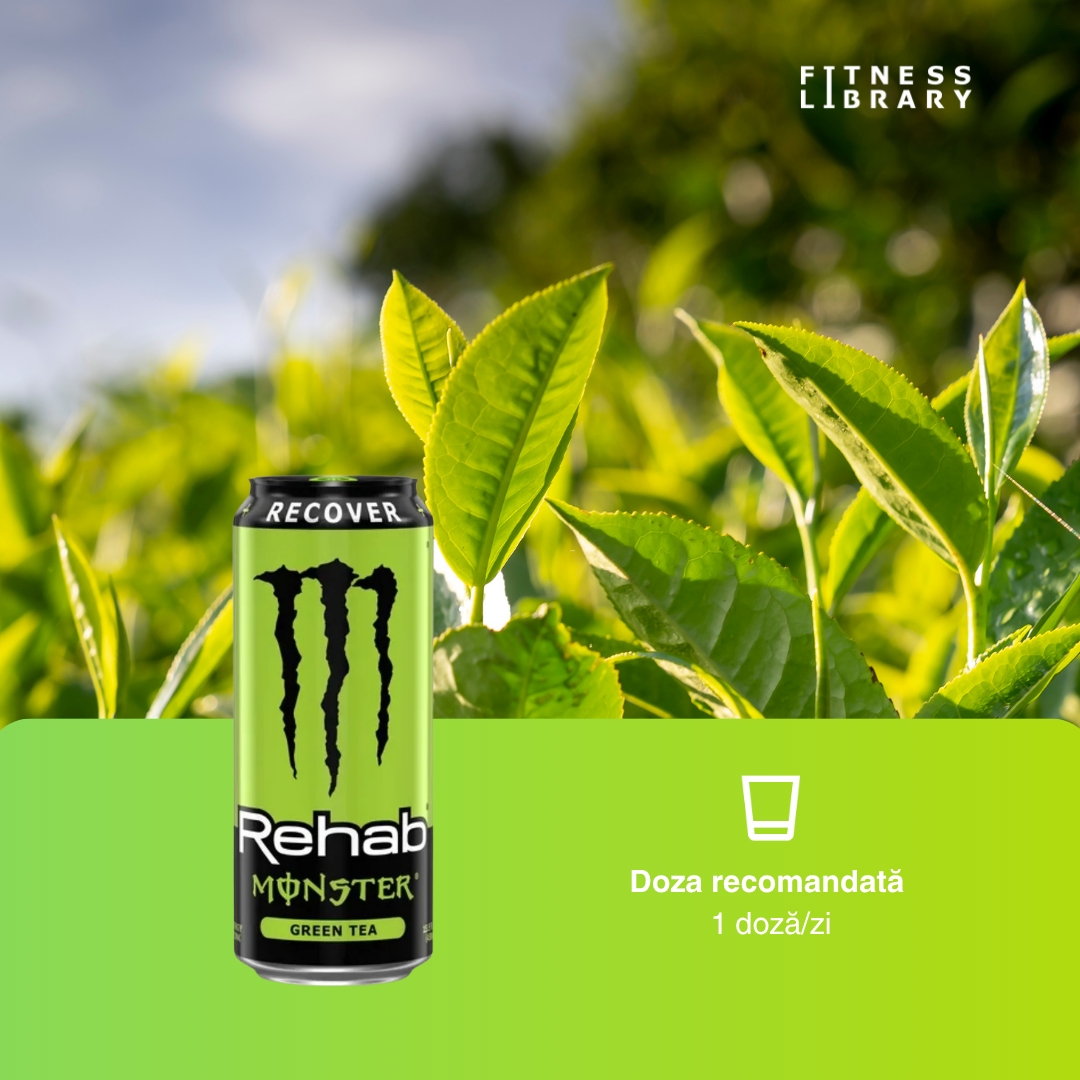 Monster Rehab Green Tea (473ml) – Băutură revitalizantă necarbonatată (hidratare avansată & refacere energetică) – 1 porție | MONSTER ENERGY