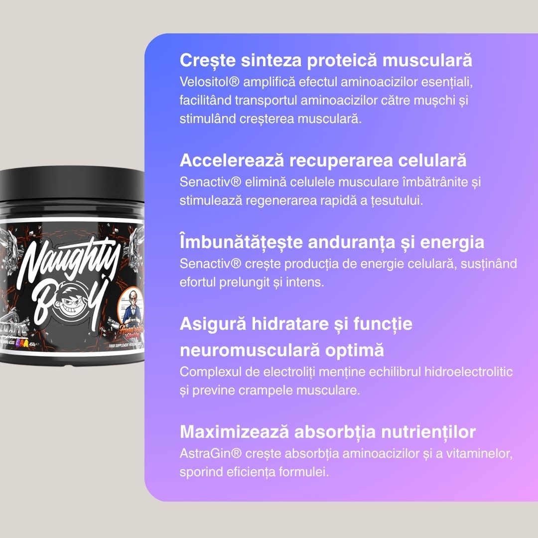 EAA Illmatic: Recuperare absolută, performanță maximă. Dezvoltă-ți potențialul.