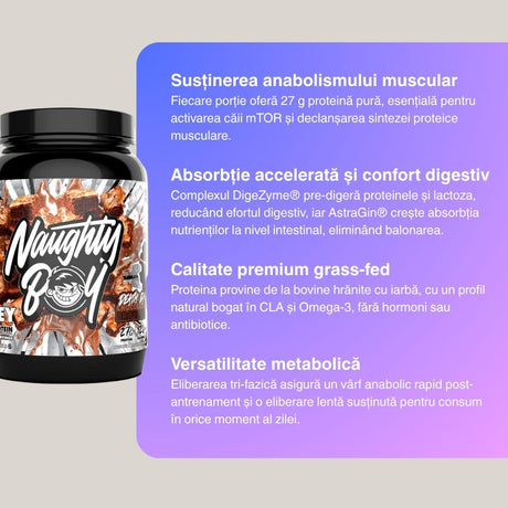 Proteină Whey Naughty Boy:  Devino cea mai bună versiune a ta.