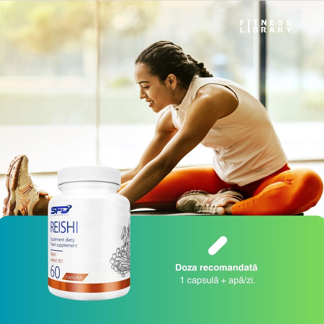 Reishi SFD: Echilibru și vitalitate în ritmul alert al vieții.