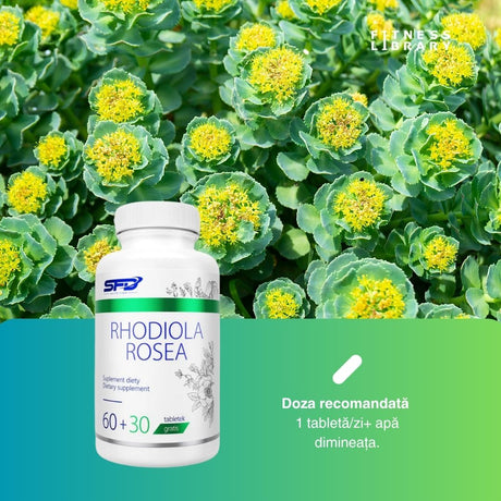 Rhodiola Rosea: Transformă stresul în energie și atinge performanța optimă.