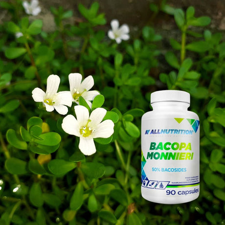 Bacopa Monnieri ALLNUTRITION: Memorie, concentrare și rezistență la stres îmbunătățite. Atinge performanța cognitivă maximă!