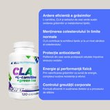 Siluetă ideală cu CLA, L-Carnitină și Ceai Verde. Energie amplificată, corp radiant, încredere maximă.