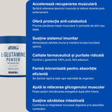 L-Glutamină micronizată: Recuperare musculară rapidă, imunitate puternică.
