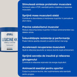 L-Leucina 4K: Recuperare rapidă, performanță maximă.
