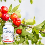 Acerola SFD: Vitamina C naturală pentru imunitate puternică și piele radiantă.