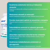 Energie pe zi, odihnă profundă noaptea. Magneziu chelat B6.