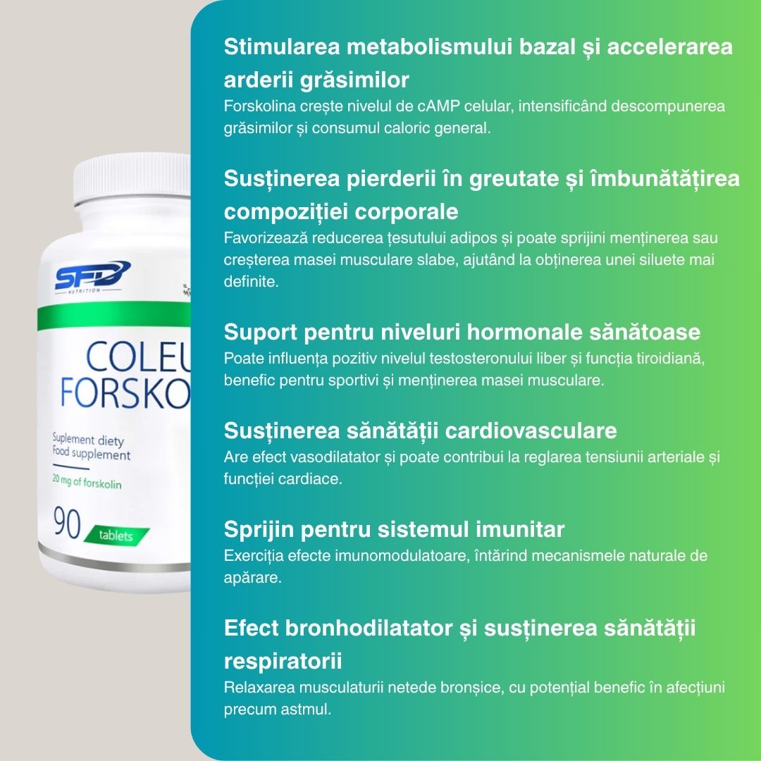 Siluetă ideală cu Coleus Forskohlii SFD! 10% forskolin pur stimulează metabolismul pentru energie și vitalitate.