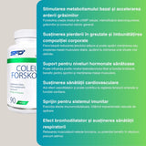 Siluetă ideală cu Coleus Forskohlii SFD! 10% forskolin pur stimulează metabolismul pentru energie și vitalitate.