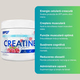 Creatină Monohidrată + Taurină SFD: Forță explozivă, musculatură definită, recuperare rapidă.